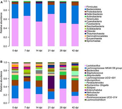 Alterations of Gut Microbiome and Metabolite Profiling in Mice Infected by Schistosoma japonicum